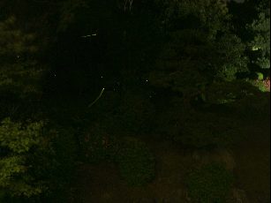 変換 〜 DSCF5192.jpg