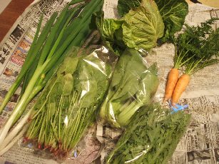 DSCF4509.jpg