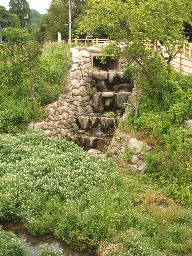 DSCF8772.jpg