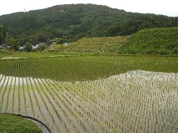 DSCF8777.jpg