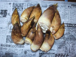 DSCF8290.jpg