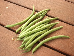 DSCF8778.jpg