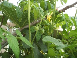 DSCF8867.jpg
