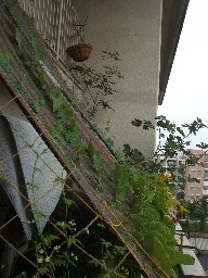 DSCF8871.jpg