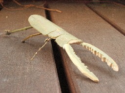 DSCF8364.jpg